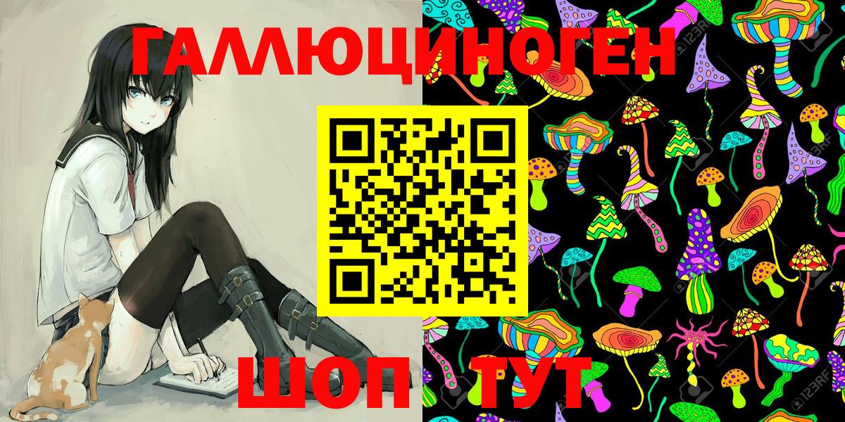 магазин продажи наркотиков  Вход с VPN  Краснокаменск  Псилоцибиновые грибы Psilocybe 